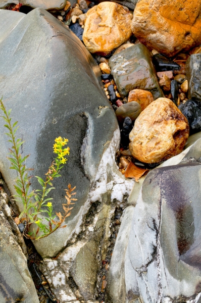 12 Cossatot Rocks And Patterns - Professional Arkansas Ouachita Gallery No 1 photography by Paul Caldwell