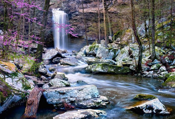 02 Cedar Falls Viewed In Early Springtime On Petit Jean Mountain - Professional Arkansas Ouachita Gallery No 2 photography by Paul Caldwell