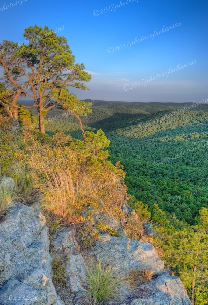 09 Looking To The East From Flatside Pinnacle - Professional Arkansas Ouachita Gallery No 2 photography by Paul Caldwell