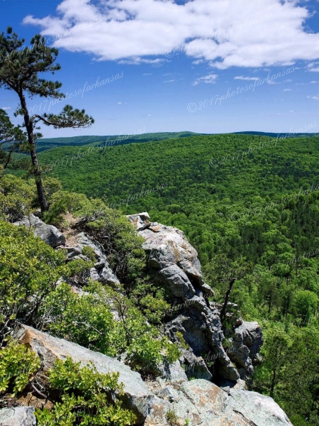 15 Sunny Day At Flatside Pinnacle - Professional Arkansas Ouachita Gallery No 2 photography by Paul Caldwell