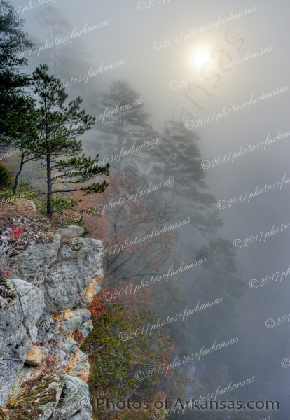 05 Foggy Morning View From The Summit Of Roark Bluff - Professional Arkansas Ozark Gallery No 1 photography by Paul Caldwell