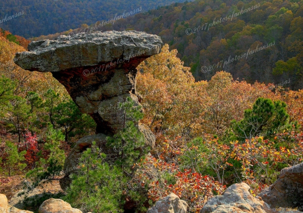 09 Single Feature At Pedestal Rocks Scenic Area - Professional Arkansas Ozark Gallery No 3 photography by Paul Caldwell