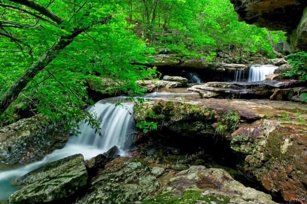 17 Small Cascade Near Falling Water Creek - Professional Arkansas Ozark Gallery No 3 photography by Paul Caldwell