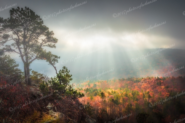 19 Foggy Sunrise From The Summit Of Flatside Pinnacle - Professional Featured Arkansas Photos photography by Paul Caldwell