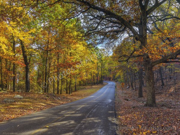 01 Fall Afternoon On The Road To Mt Nebo - Professional Mt Nebo photography by Paul Caldwell