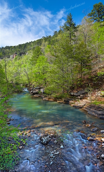 26 Early Springtime On Haw Creek - Professional My Favorites Gallery photography by Paul Caldwell