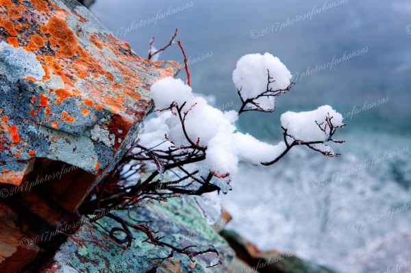 04 Popcorn Snow On Pinnacle Mountain - Professional Natural Abstracts Gallery No 1 photography by Paul Caldwell