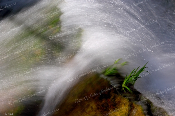 05 Grass And Water - Professional Natural Abstracts Gallery No 1 photography by Paul Caldwell