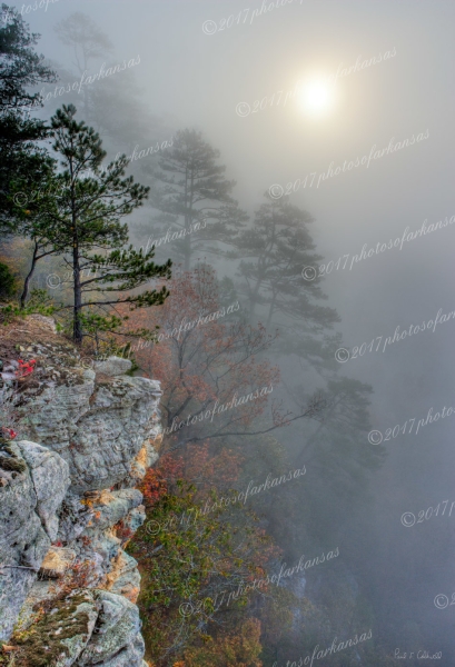 08 Foggy Morning View - Professional Natural Abstracts Gallery No 2 photography by Paul Caldwell