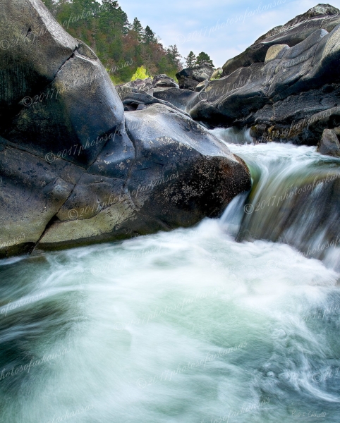 09 Down In The Machine - Professional Natural Abstracts Gallery No 2 photography by Paul Caldwell