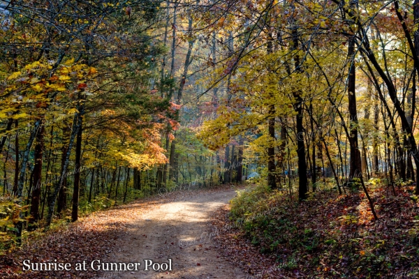 15 Curving Around The Bend - Professional Natural Abstracts Gallery No 2 photography by Paul Caldwell