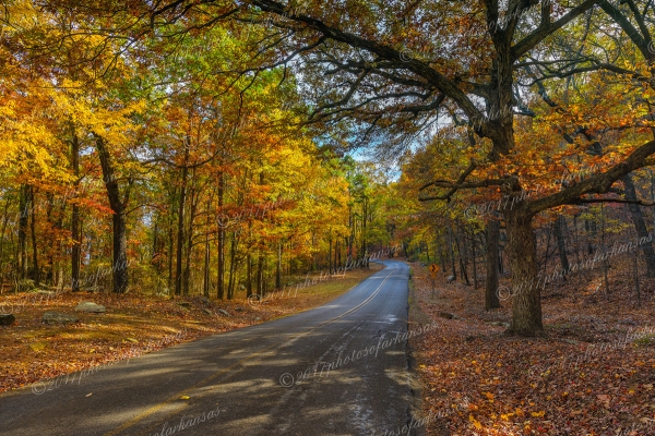 09.1 Fall Scene On The Road To Mt Nebo - Professional Recent Photography photography by Paul Caldwell