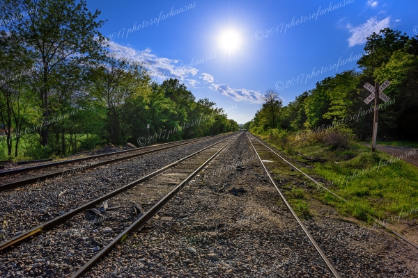 33 Sun On The Tracks - Professional Recent Photography photography by Paul Caldwell