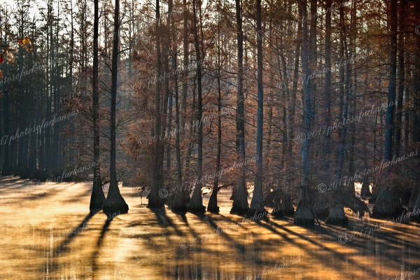 04 Sunrise On The Little Maumelle River - Professional South Arkansas And Bayo Country photography by Paul Caldwell