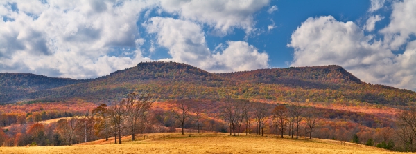 20 Fall Scene Near Snowball - Professional Stone Bank New Hq photography by Paul Caldwell
