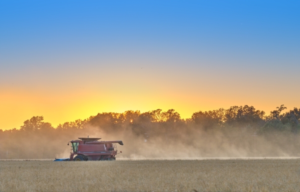 30 Rice Harvest Near Clarendon - Professional Stone Bank New Hq photography by Paul Caldwell
