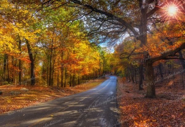 06 Fall Vista Along Highway 153 On Mt Magazine - Professional Temporary Gallery photography by Paul Caldwell