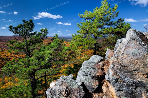 22 A View Through The Pines On Flatside Pinnacle - Professional Temporary Gallery photography by Paul Caldwell