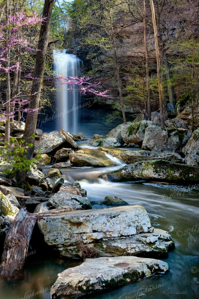 25 Cedar Falls In Early Spring On Petit Jean Mountain - Professional Temporary Gallery photography by Paul Caldwell